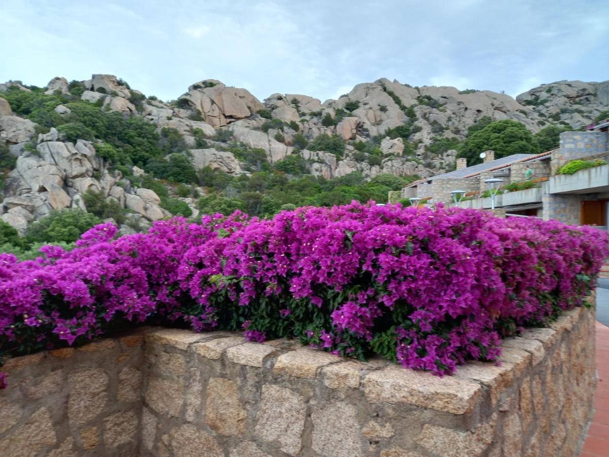 Hotel Olimpia Baja Sardinia Exterior photo